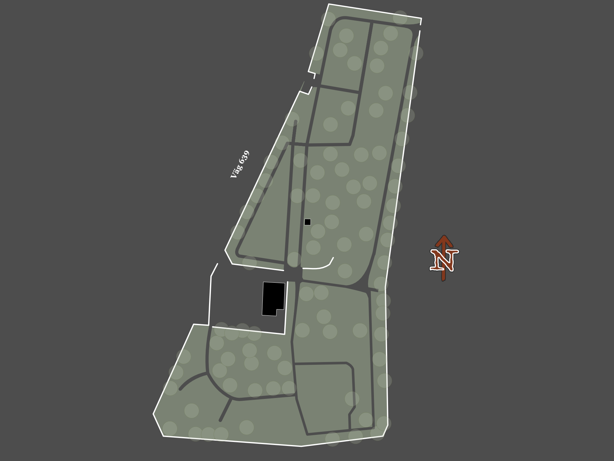 Points Image