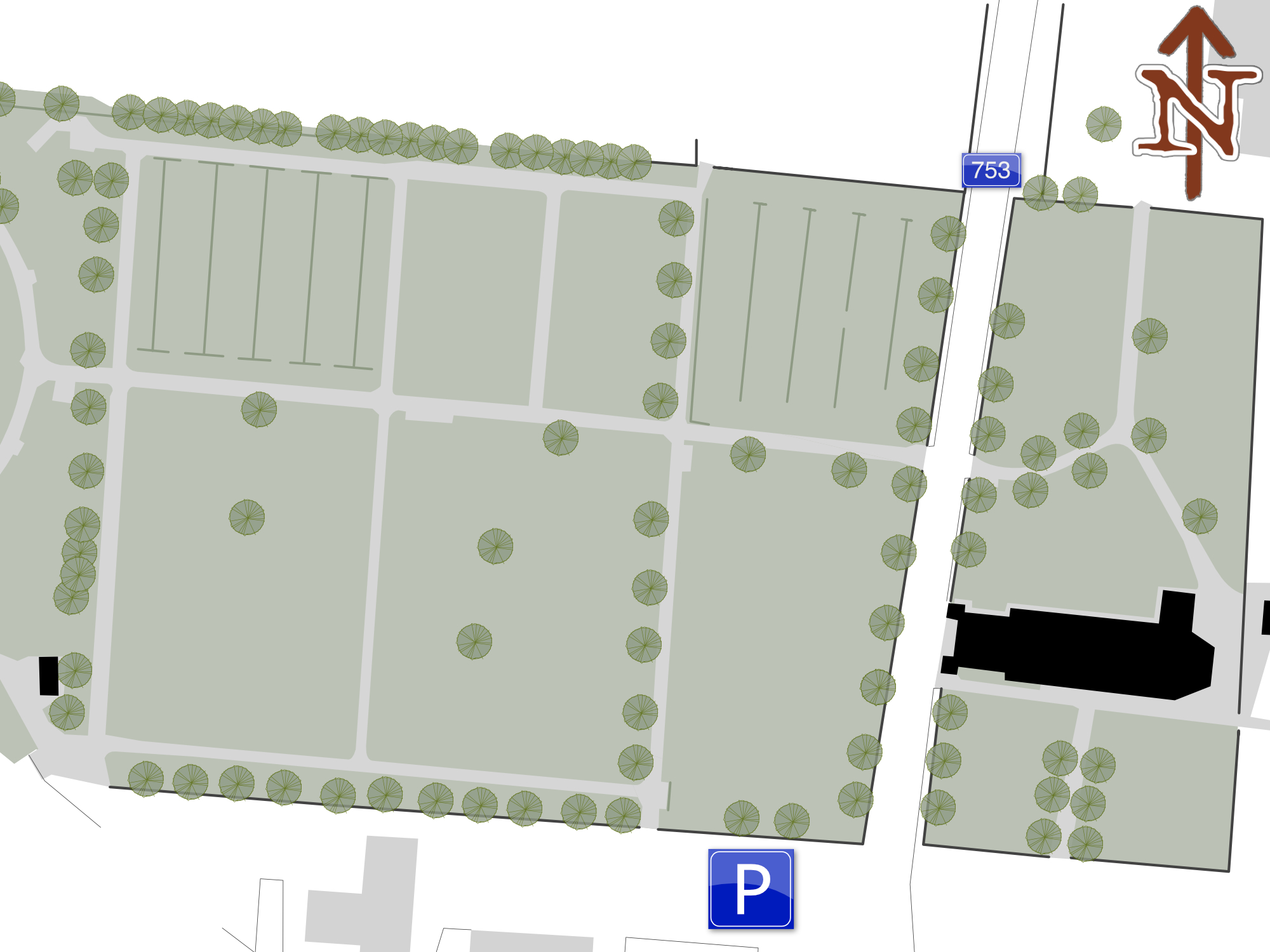 Points Image