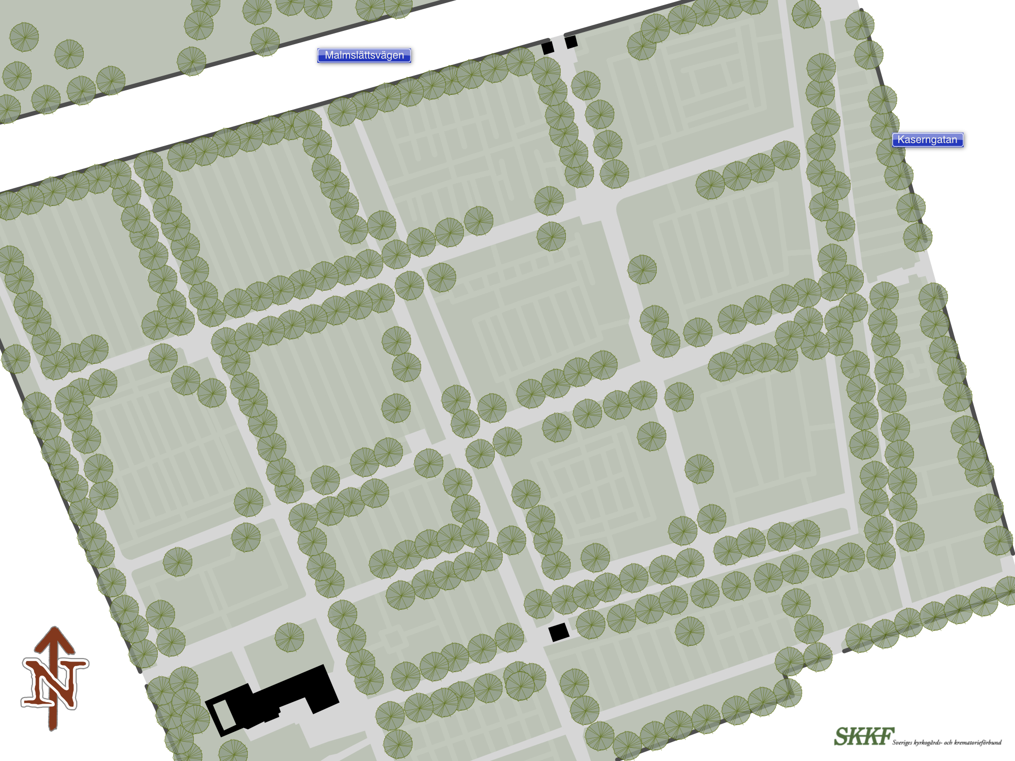 Points Image